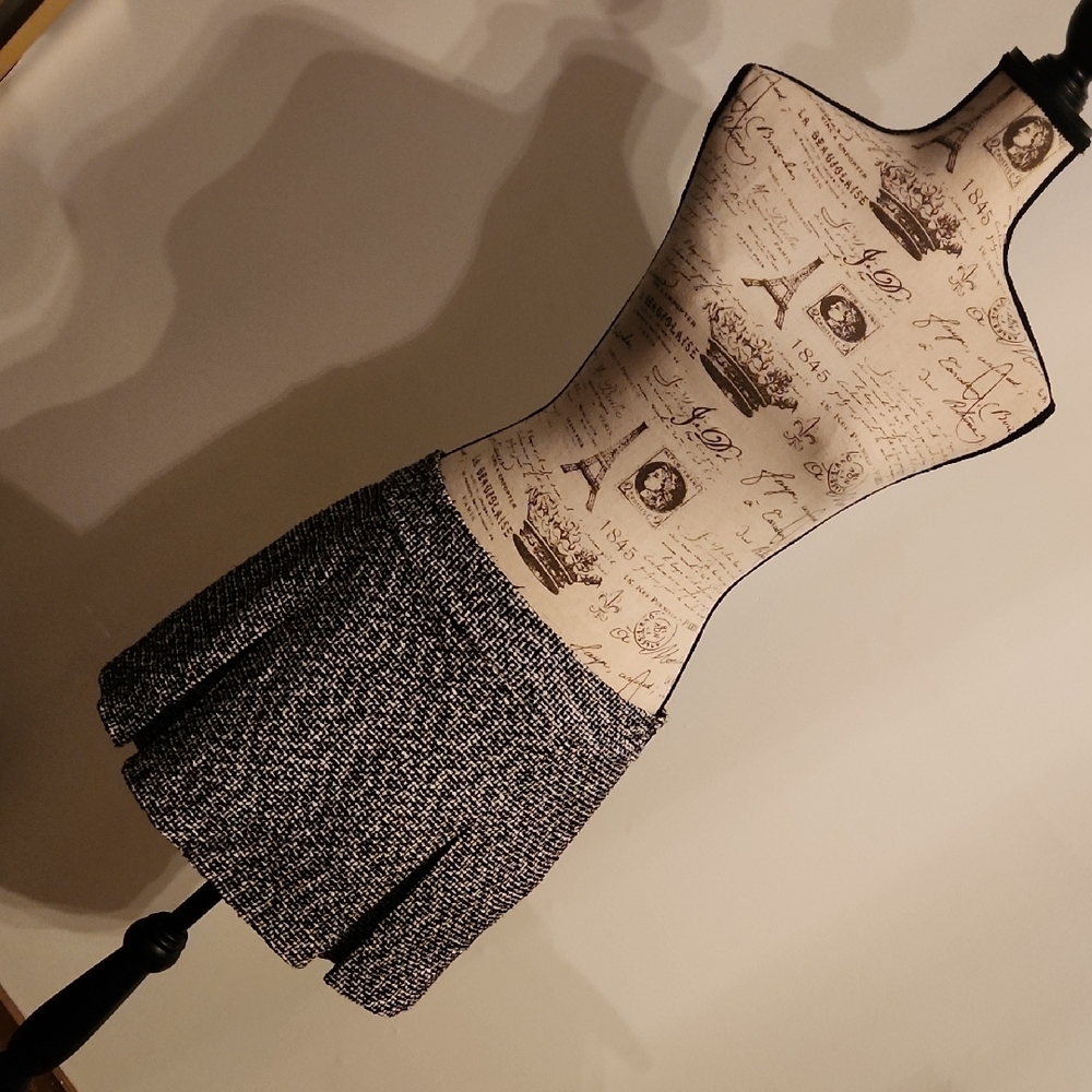 Express Black and White Mini Skirt